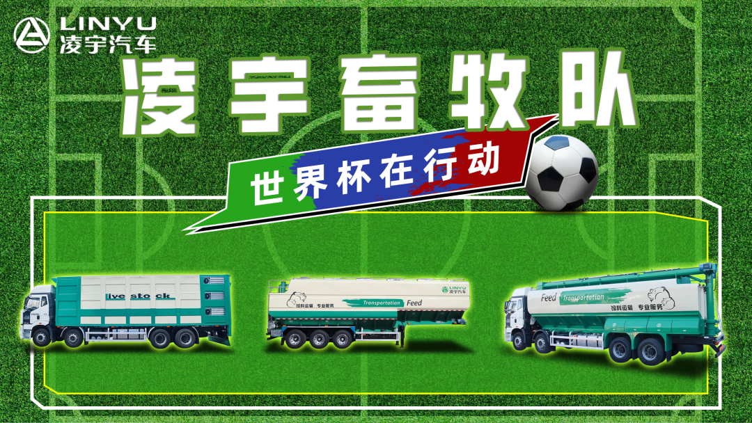 奪冠世界杯！你注意到這支球隊(duì)了嗎？